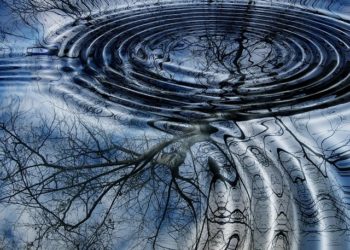 Pixabay CC0 gemeinfrei