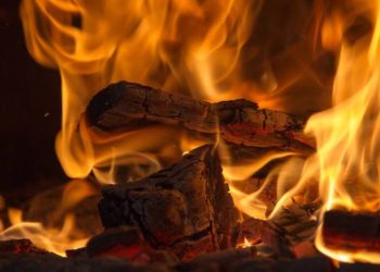 Pixabay CC0 gemeinfrei