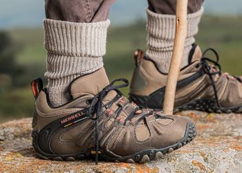 Pixabay CC0 gemeinfrei