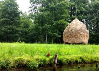 Foto: Michelle Mattner