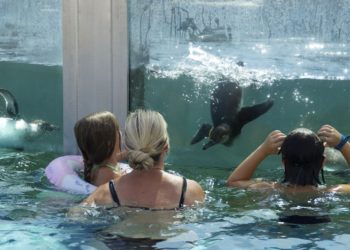 Foto: Spreewelten GmbH