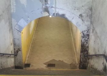 Foto: Sandra Mattner