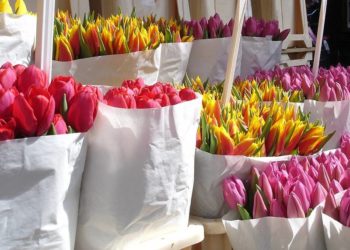 Pixabay CC0 gemeinfrei