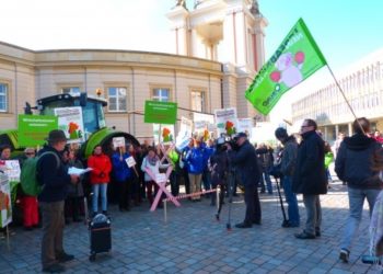 Foto: BUND Brandenburg