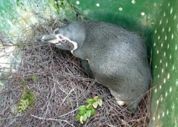 Foto: Spreewelten GmbH