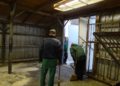 Trampeltierstute Gerda ist im Zoo Hoyerswerda eingezogen 4 F Zoo Kultur und Bildung Hoyerswerda gGmbH