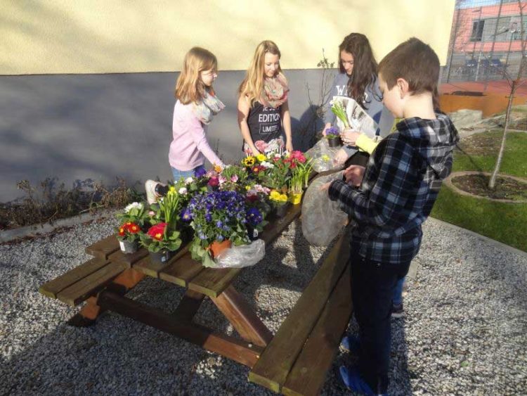 Foto: Christoph-Kolumbus-Grundschule Cottbus (Umweltschule), Ralph Bogacz