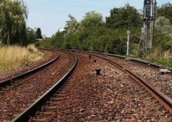 Pixabay CC0 gemeinfrei