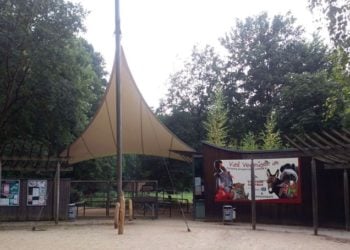 Foto: Jan Schultchen