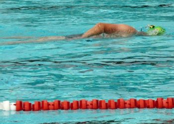 Pixabay CC0 gemeinfrei