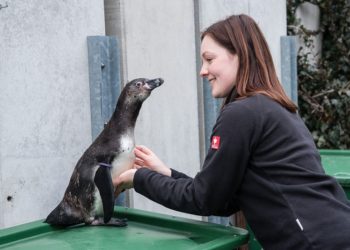 Foto: Spreewelten GmbH