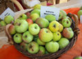 pfel-KG-100_7453--Qualittssiegel-fr-Gastronomie-F-Tourismusverband-Niederlausitz-eV