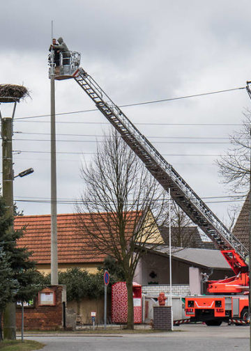 096616Peter Becker
