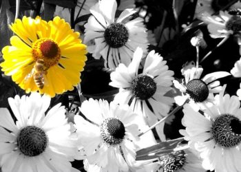 Foto: Sandra Mattner