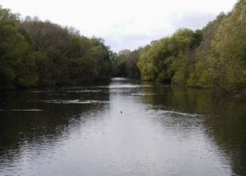 Foto: Sandra Mattner