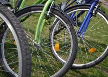 Pixabay CC0 gemeinfrei