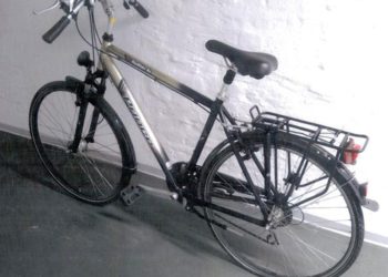 Foto: Polizeidirektion Süd