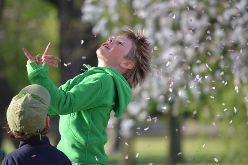 Frühlingsfest 2015 Bildquelle: Raik Nowka