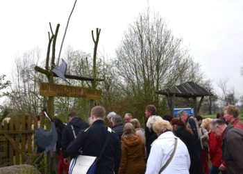 Foto: www.Spreewald.de