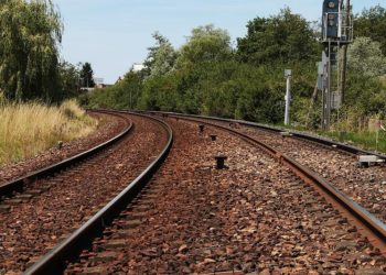 Pixabay CC0 gemeinfrei