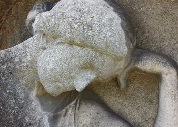 Pixabay CC0 gemeinfrei