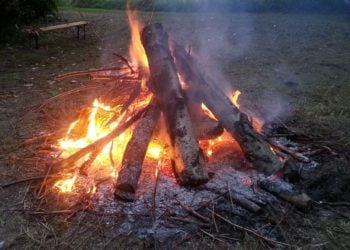 Foto: Sandra Mattner