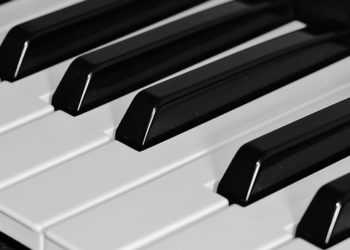 Pixabay CC0 gemeinfrei