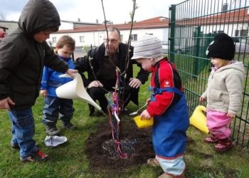 Pixabay CC0 gemeinfrei