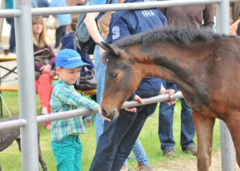 Foto: Björn Schroeder