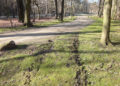 Branitzer-Park-soll-besser-geschtzt-werden-3-F-STadt-Cottbus
