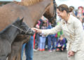 Fohlenfrhling-Taufe-_Bjrn-Schroeder-