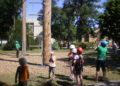 Klettern-im-Hochseilgarten-10-Jahre-Netzwerk-Gesunde-Kinder-in-Klettwitz-angeboten-F--Klinikum-Campus-GmbH