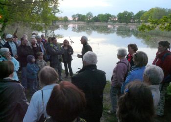 Foto: Hans-Eberhard Franze