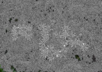 Pixabay CC0 gemeinfrei