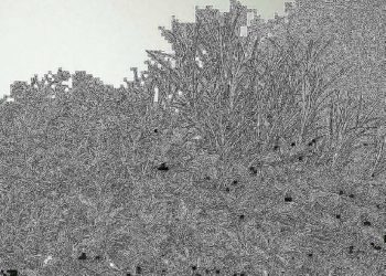 Wiki CC 3.0 Rainer Zenz