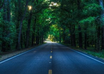 Pixabay CC0 gemeinfrei