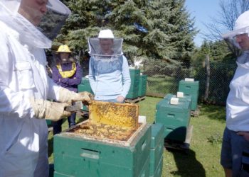Foto: Kreisvolkshochschule Elbe-Elster Regionalstelle für Bildung im Agrarbereich