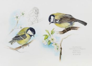 Foto: BASF Schwarzheide GmbH