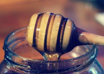 Pixabay CC0 gemeinfrei