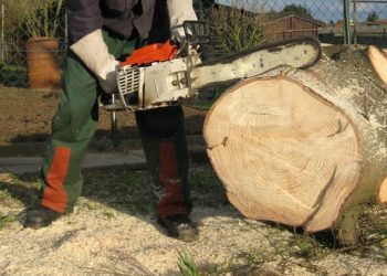 Wiki CC 2.0 Magnus Mertens