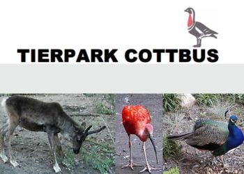 Foto: Sandra Mattner