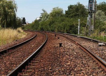 Pixabay CC0 gemeinfrei