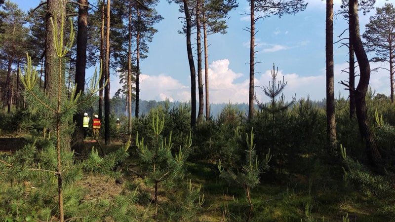 Waldbrand 05062016 2 F Jan Schultchen