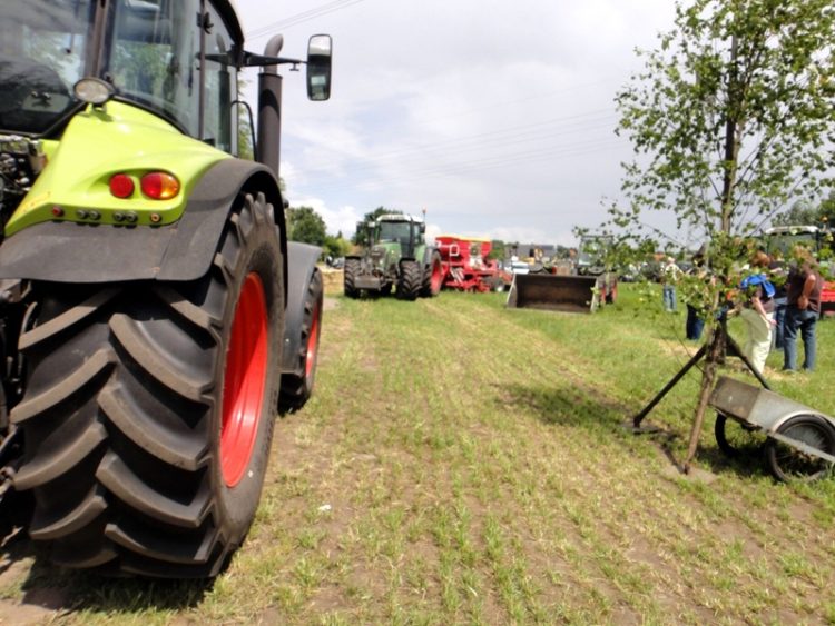 Foto: Landkreis Oberspreewald-Lausitz