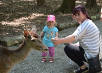 Foto: Stadt Finsterwalde