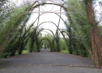 Wiki CC 3.0 Olaf Meister