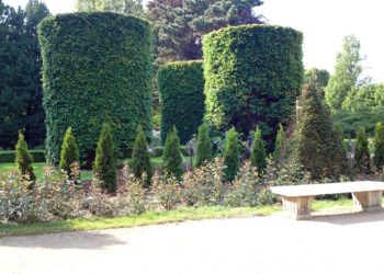 Foto: Sandra Mattner