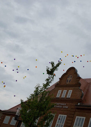 unbenannt-4538 SiNo