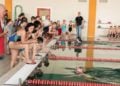 Schwimmwettkampf_Mai 2016_Delphin