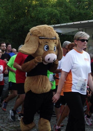 DAK Firmenlauf 08092016 049